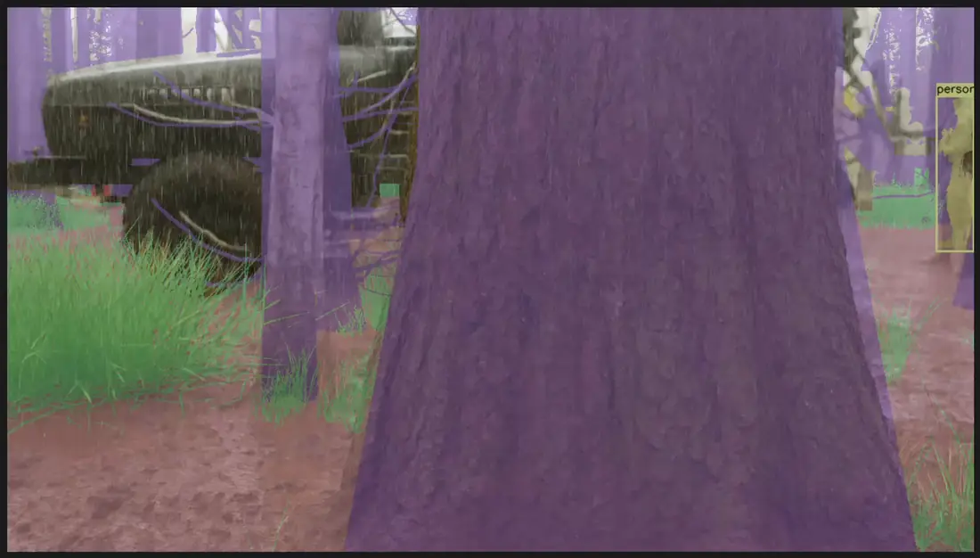 Dense understory with foliage and trunks segmented for occlusion-heavy scenes.